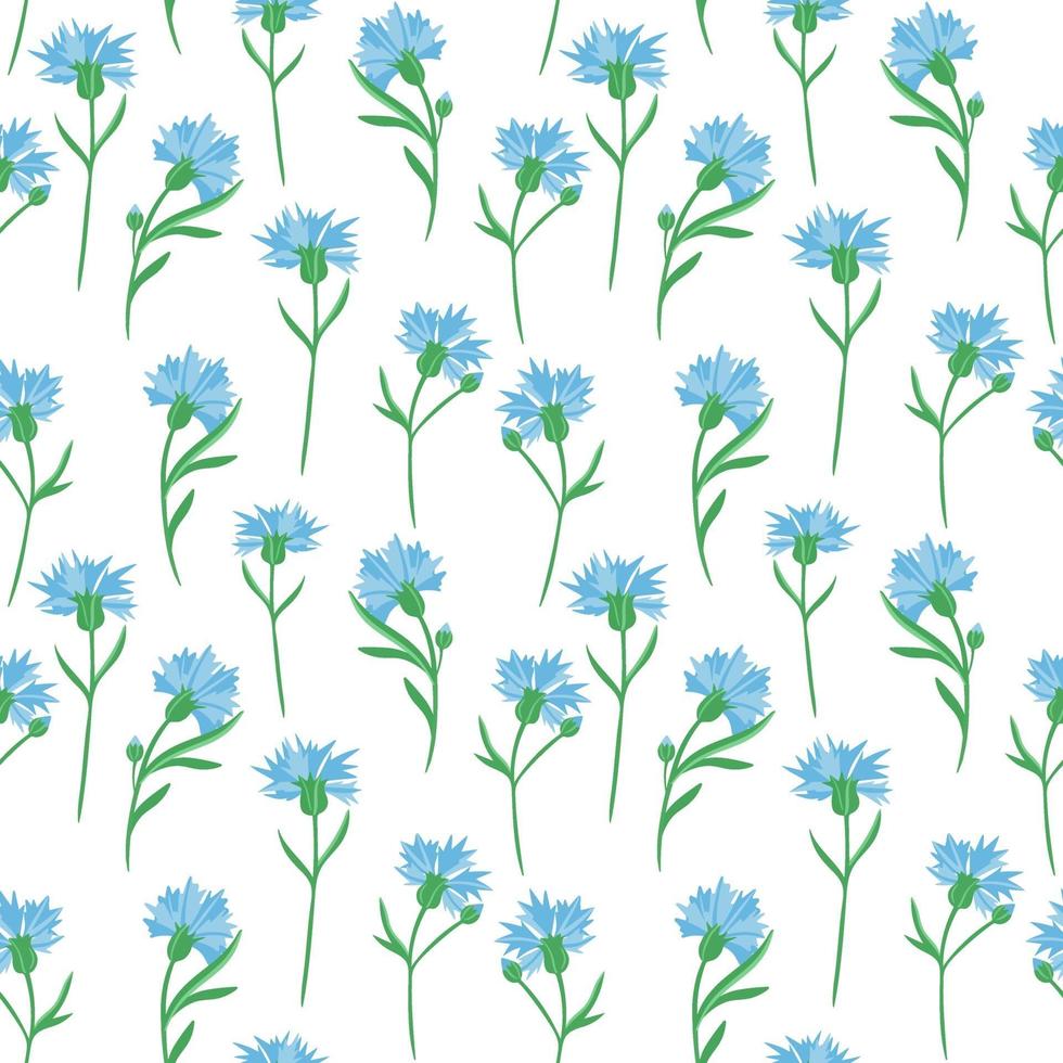 Seamless background with cornflowers. Vector. Delicate solid floral pattern.Blue little wildflowers. vector