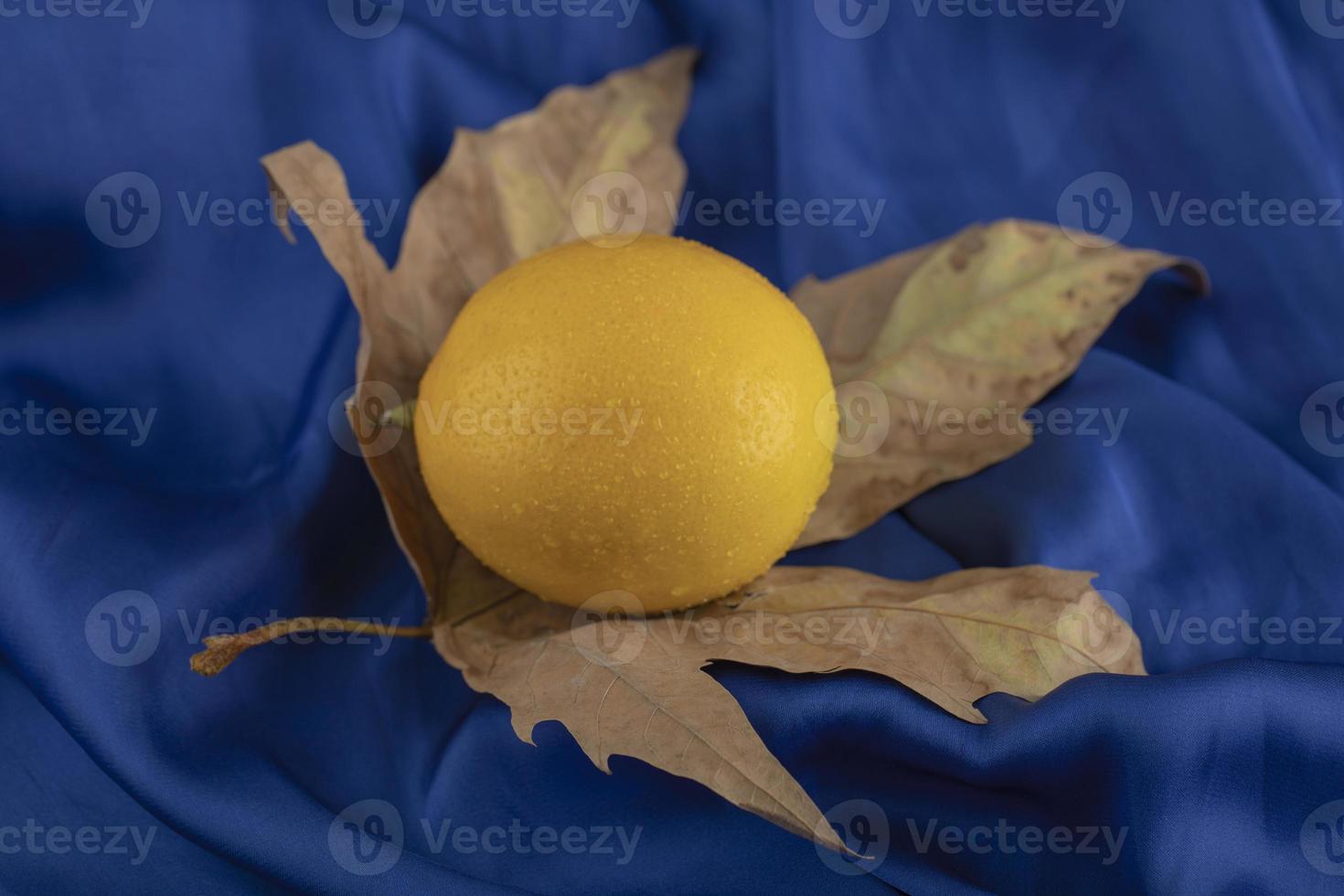 A yellow ripe lemon on a dried leaf photo