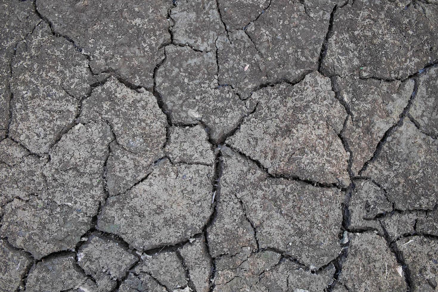 tierra seca agrietada foto