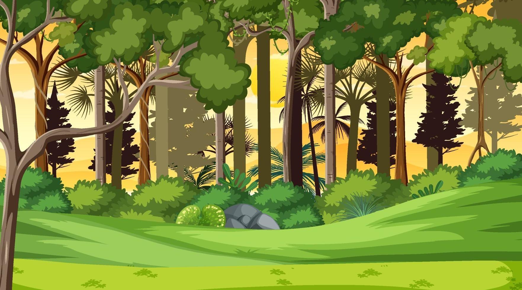 Forest landscape scene at sunset time with many different trees vector