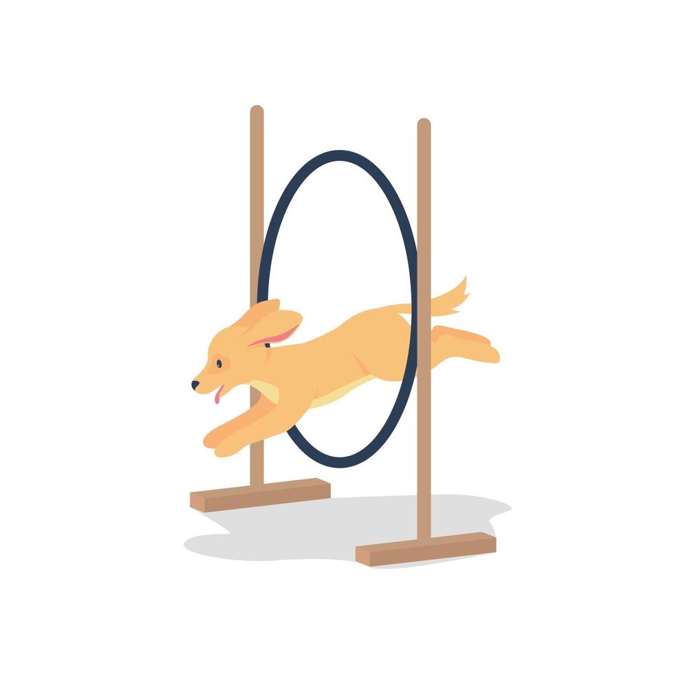 Golden spaniel jumping through hoop flat color vector detailed character