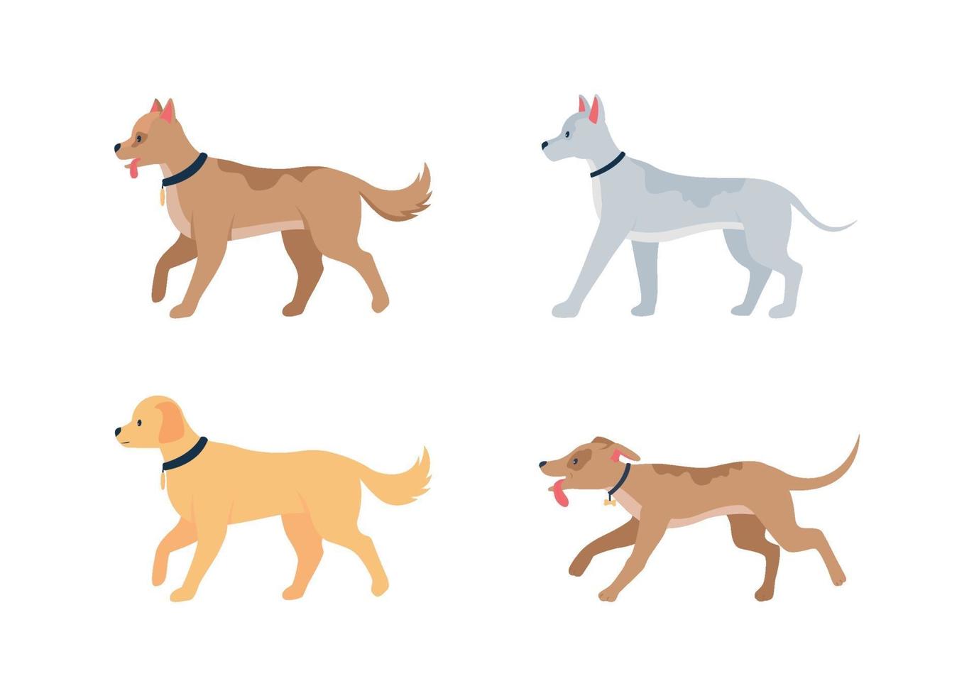 Various dog breeds flat color vector detailed character set