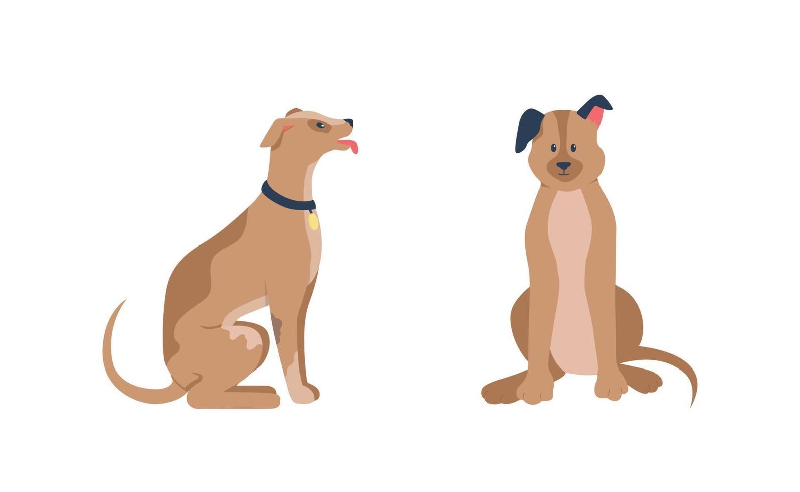 Happy dogs sitting flat color vector detailed character set