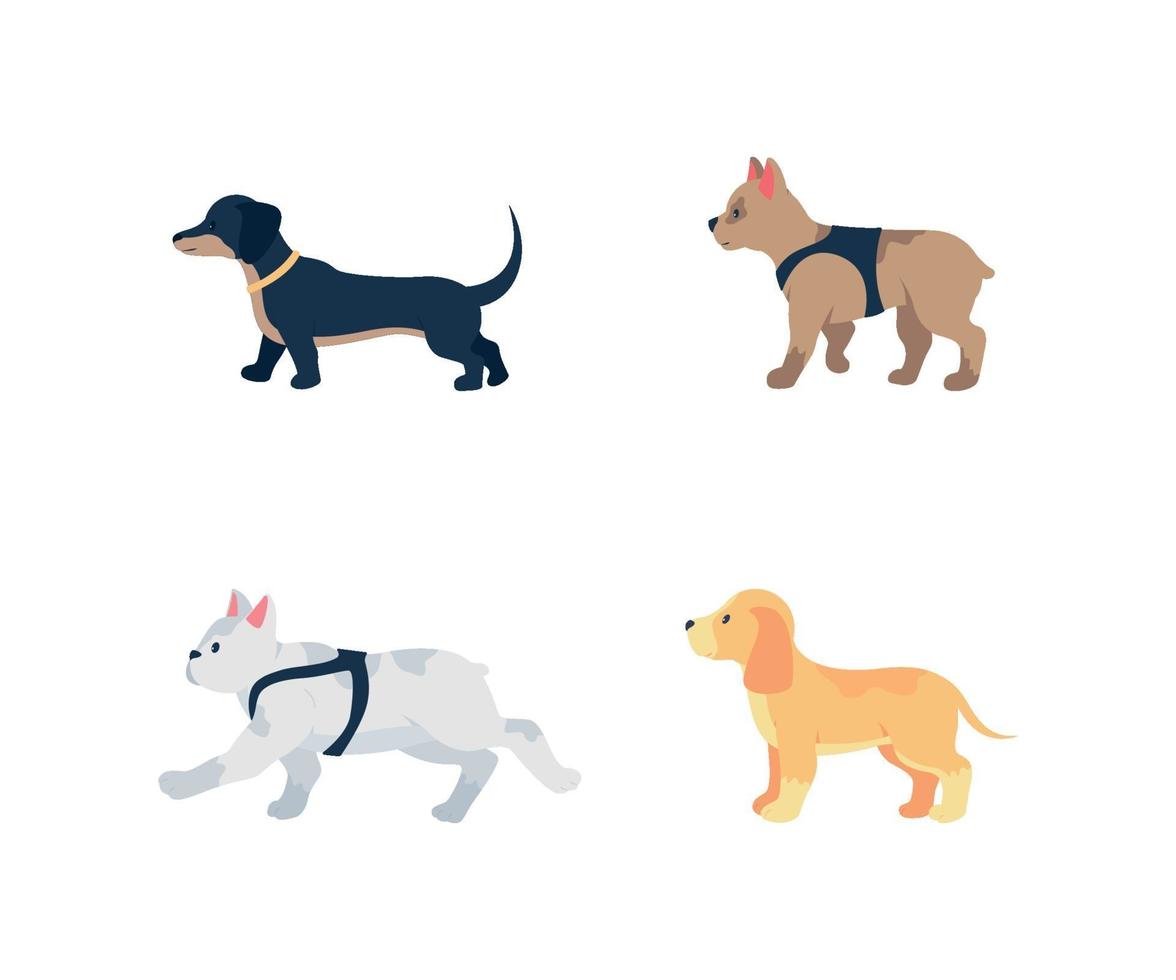 Different dog breeds flat color vector detailed character set