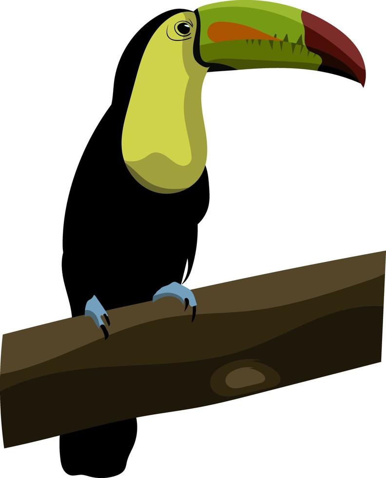 Black and Green Toucan on Tree Branch vector