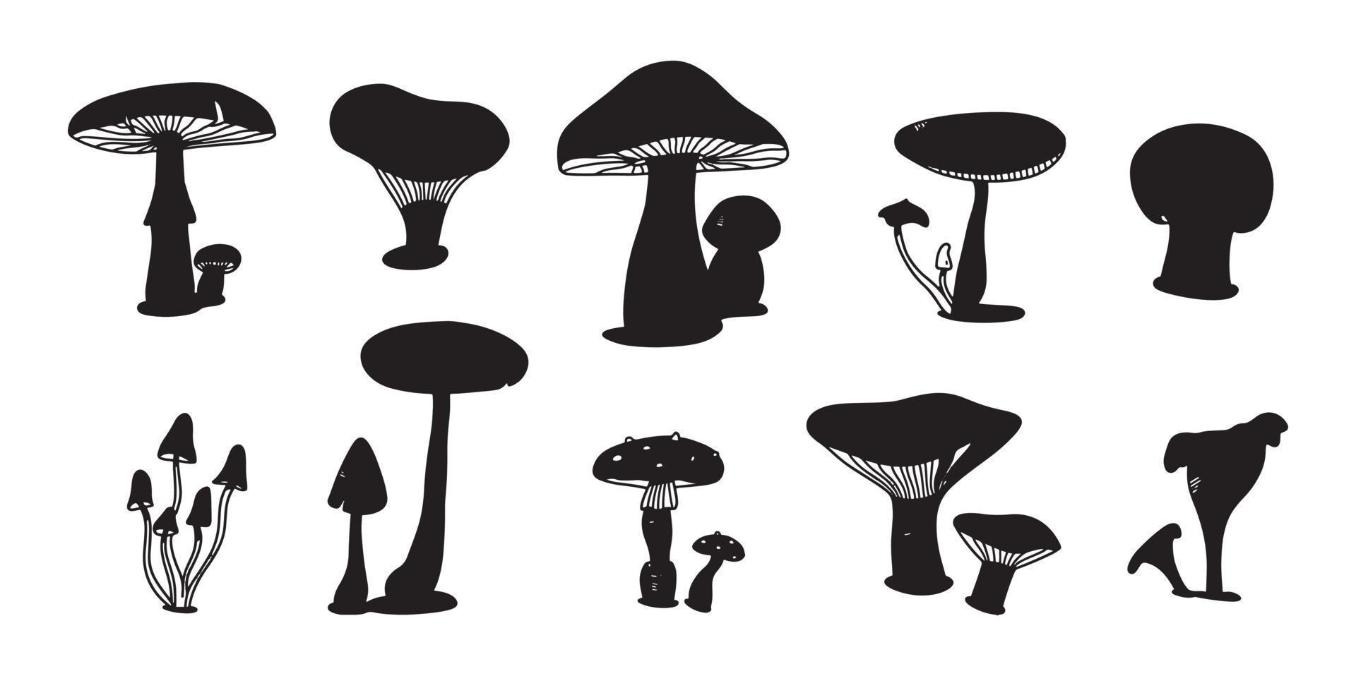 Mushroom colorful doodle set. various Mushrooms hand drawn flat sketch. Champignon, chanterelle and shiitake. vector