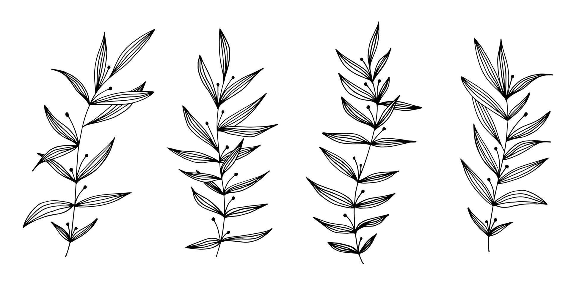 Vector hand drawn set of various silhouette branches with leaves on the white background. Elements design for fabric, wrapping paper and web.