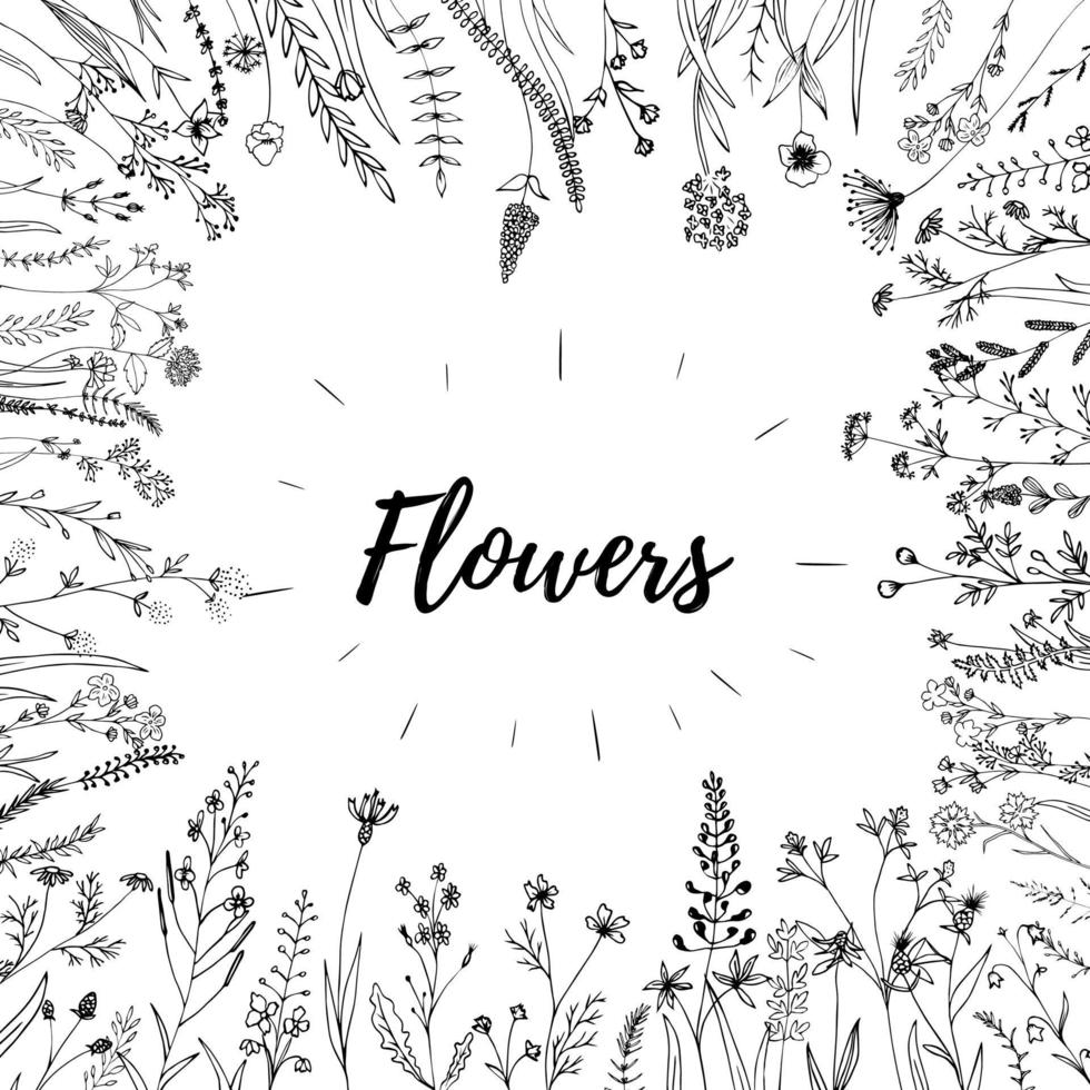 elementos de flores vectoriales bosquejados a mano. salvaje y libre. perfecto para invitaciones, tarjetas de felicitación, citas, blogs, marcos de boda, carteles y telas. vector