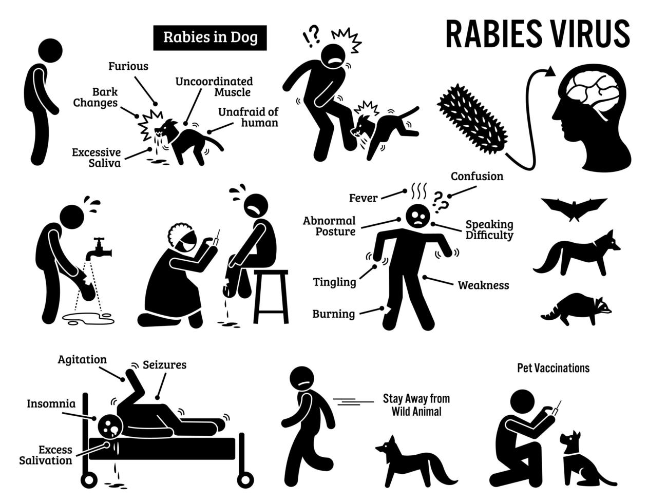 virus de la rabia en los iconos de pictogramas de figura de palo de humanos y animales. vector