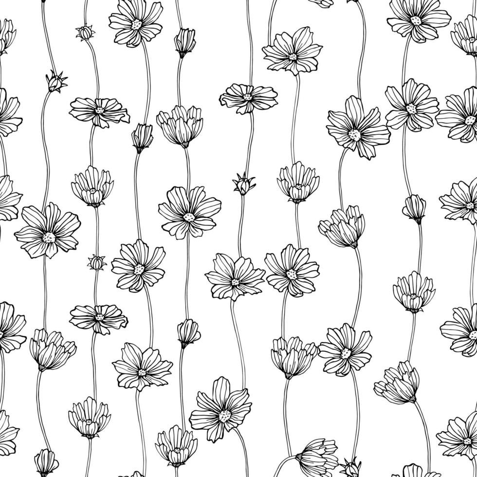 Seamless cosmos floral botanical flowers. Wild spring isolated. Black and white engraved ink art. Seamless background pattern. Element design for fabric and wrapping paper. vector