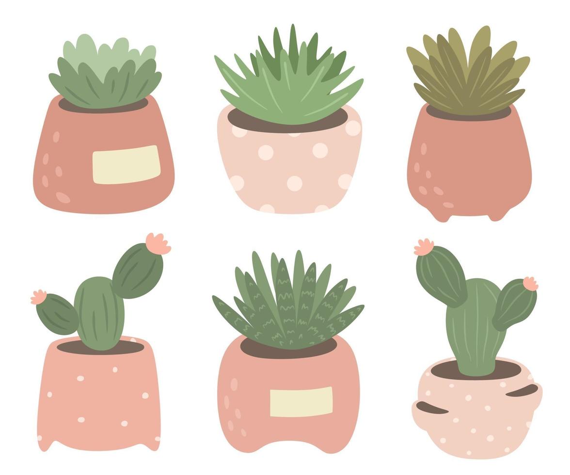 colección de cactus y suculentas en macetas. vector aislado sobre un fondo blanco.