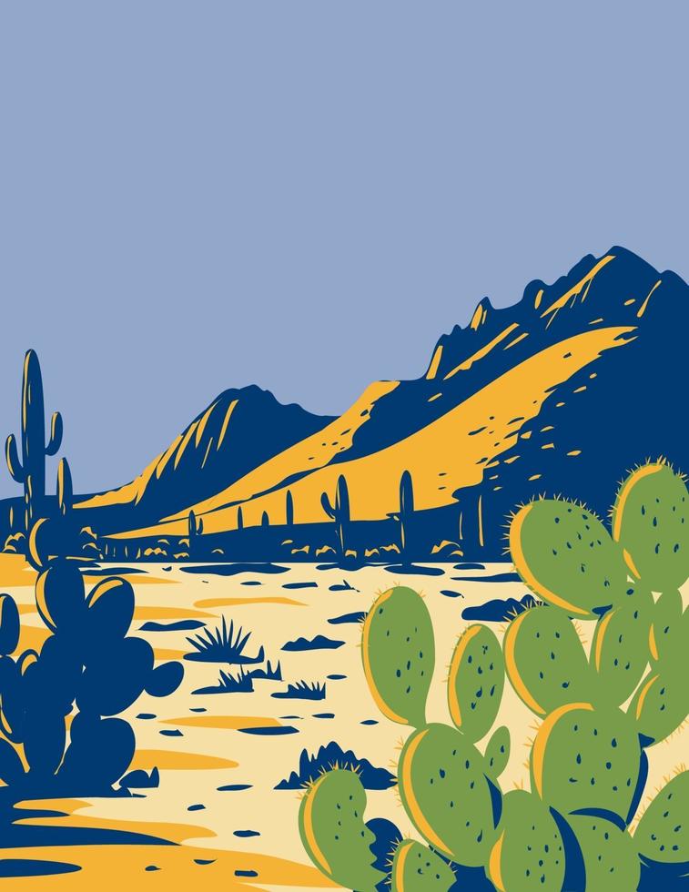 nopal u opuntia que crece en el monumento nacional del bosque de ironwood ubicado en el desierto de sonora de arizona wpa poster art vector