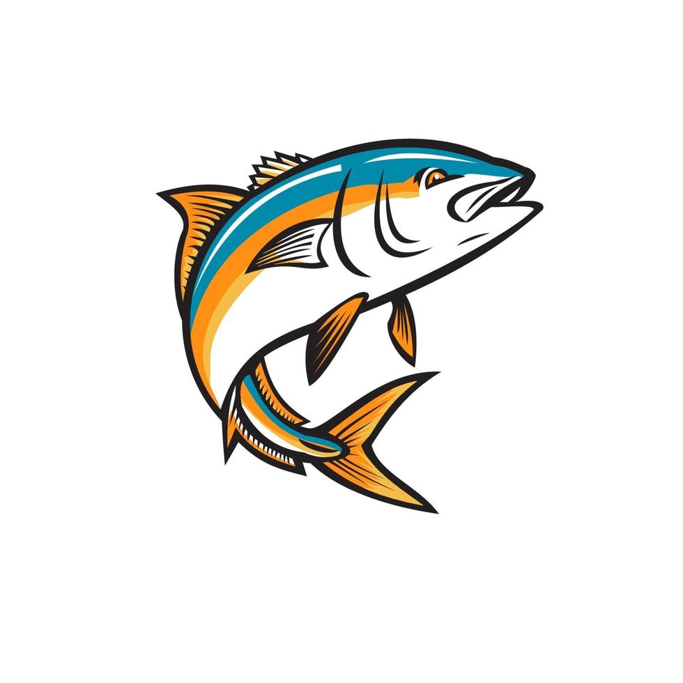 California Yellowtail Amberjack Forktail Mossback Yellowtail Tuna vector