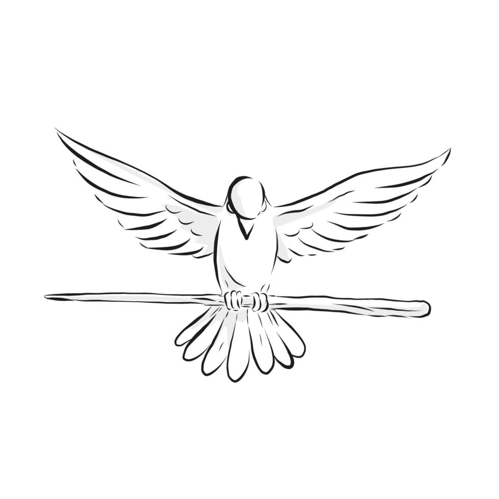 Soaring Dove Clutching Staff Front Drawing vector