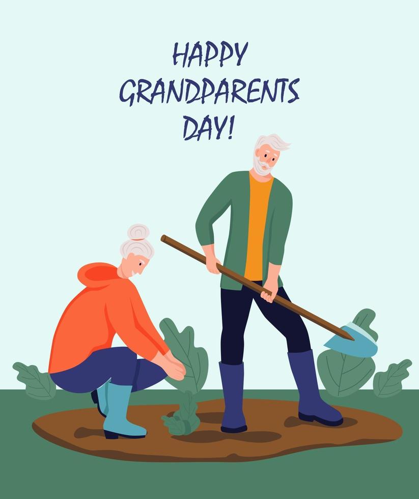 tarjeta de felicitación del día de los abuelos felices. una pareja de ancianos trabajando en el jardín. alegres personajes de dibujos animados de abuela y abuelo. día de la tercera edad. ilustración vectorial plana. vector