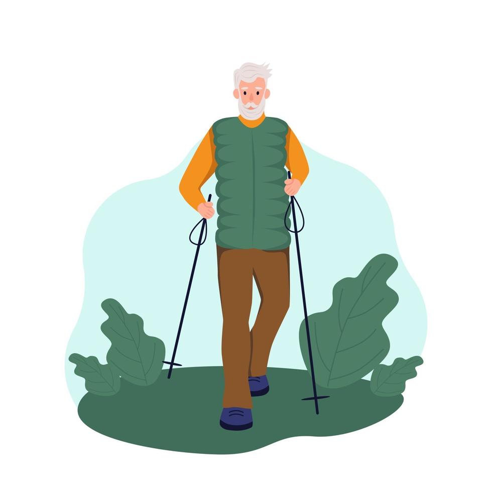 An elderly man walks with sticks in the Park. The concept of Nordic walking, active ageing, sports. Flat cartoon vector illustration.