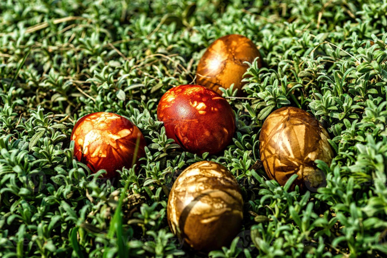 Huevos de pascua multicolores en pasto verde foto