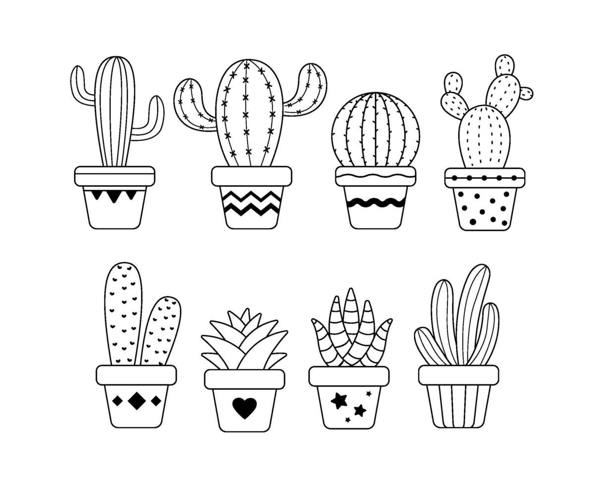 Potted cactus set vector