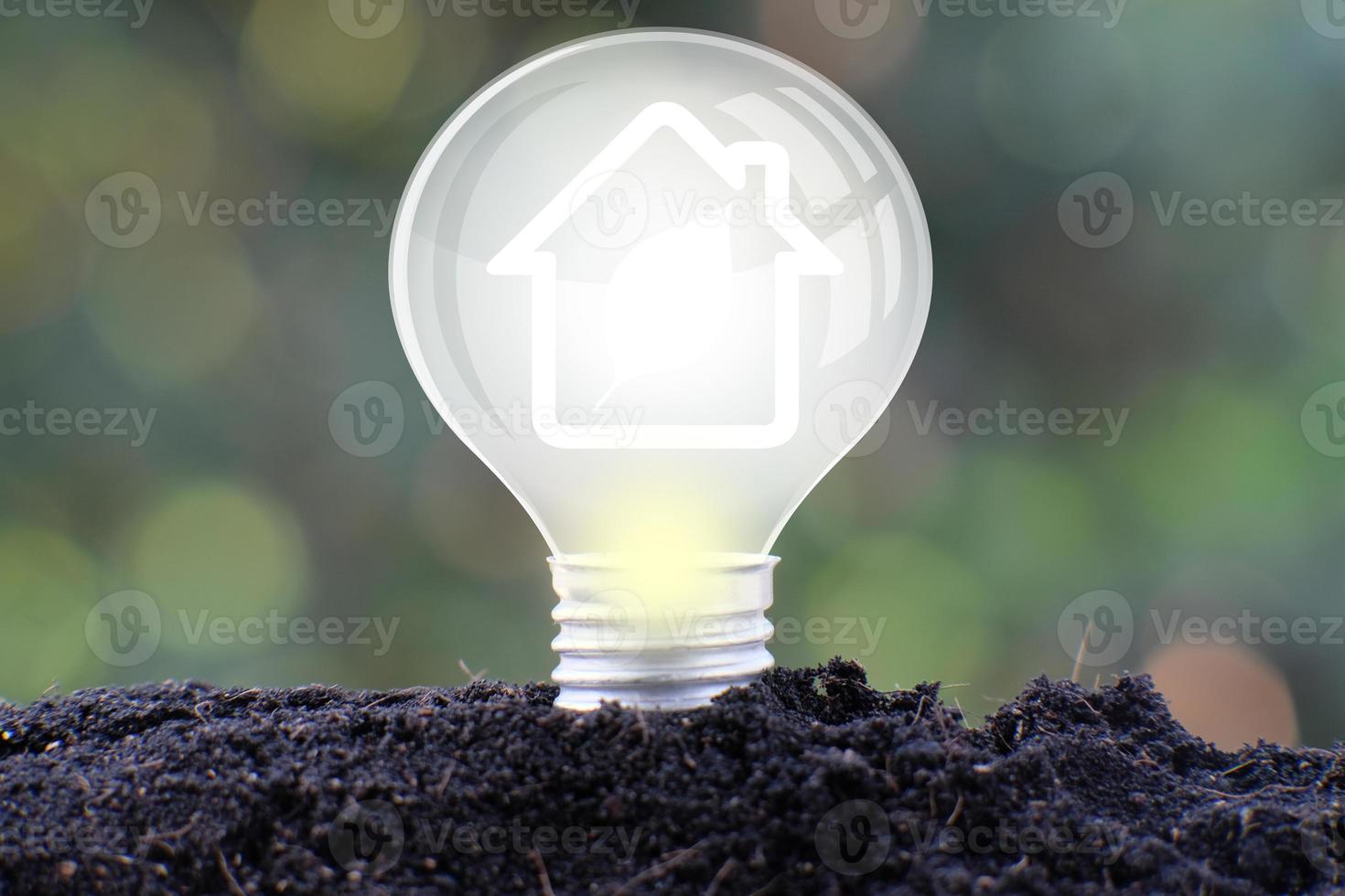 Energy saving light bulb and business or business growth concept photo