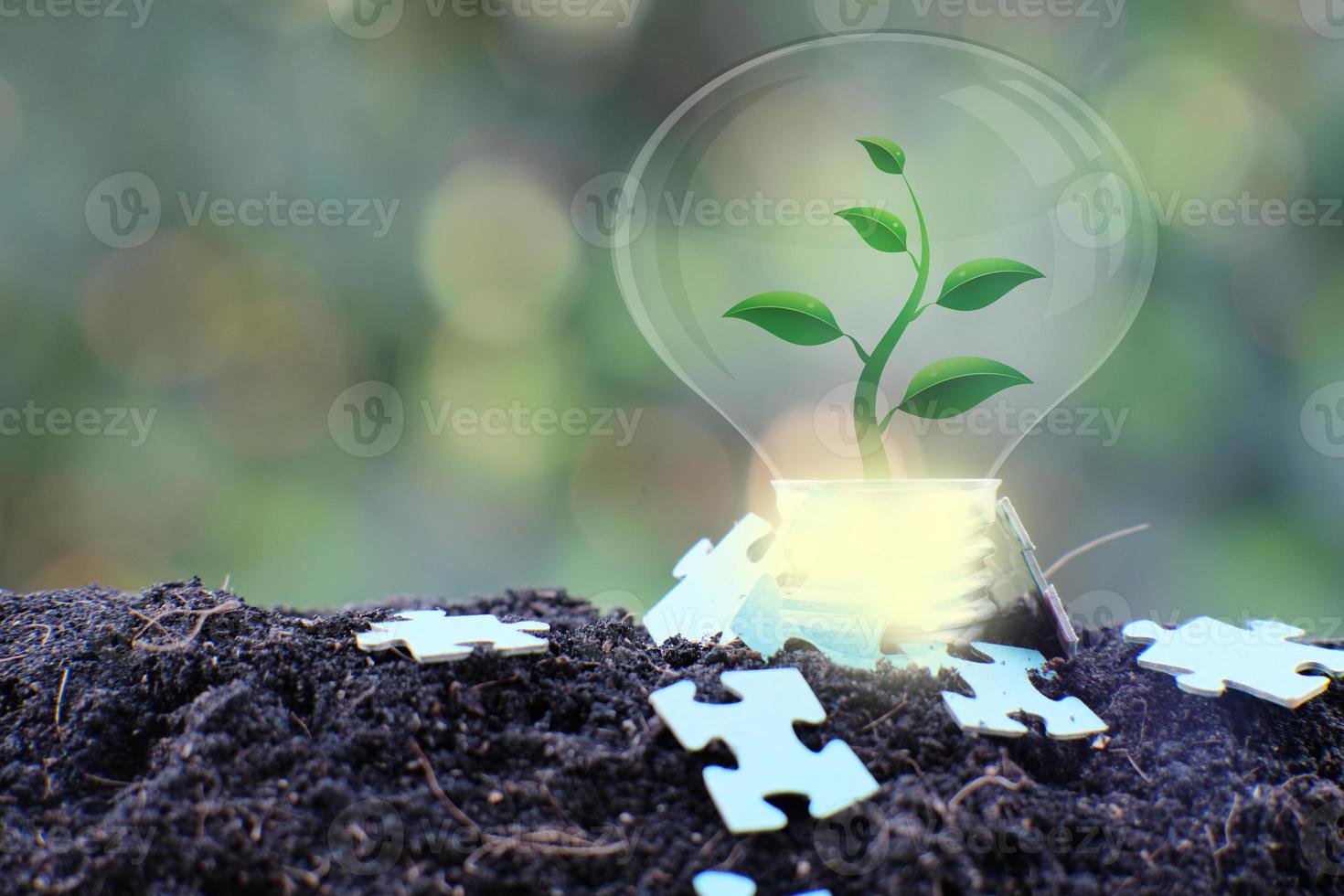 Energy saving light bulb and business or business growth concept photo