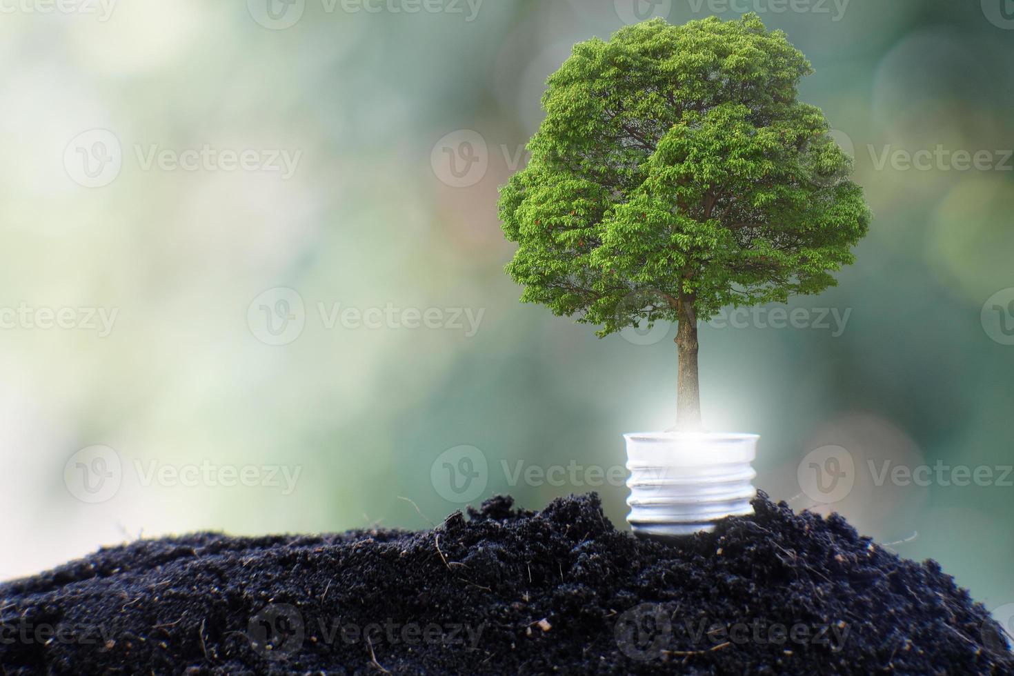 bombilla de luz salvar el mundo y el concepto de crecimiento empresarial foto