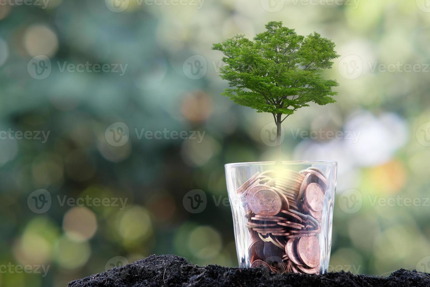 árbol que crece de un árbol, concepto de crecimiento empresarial foto