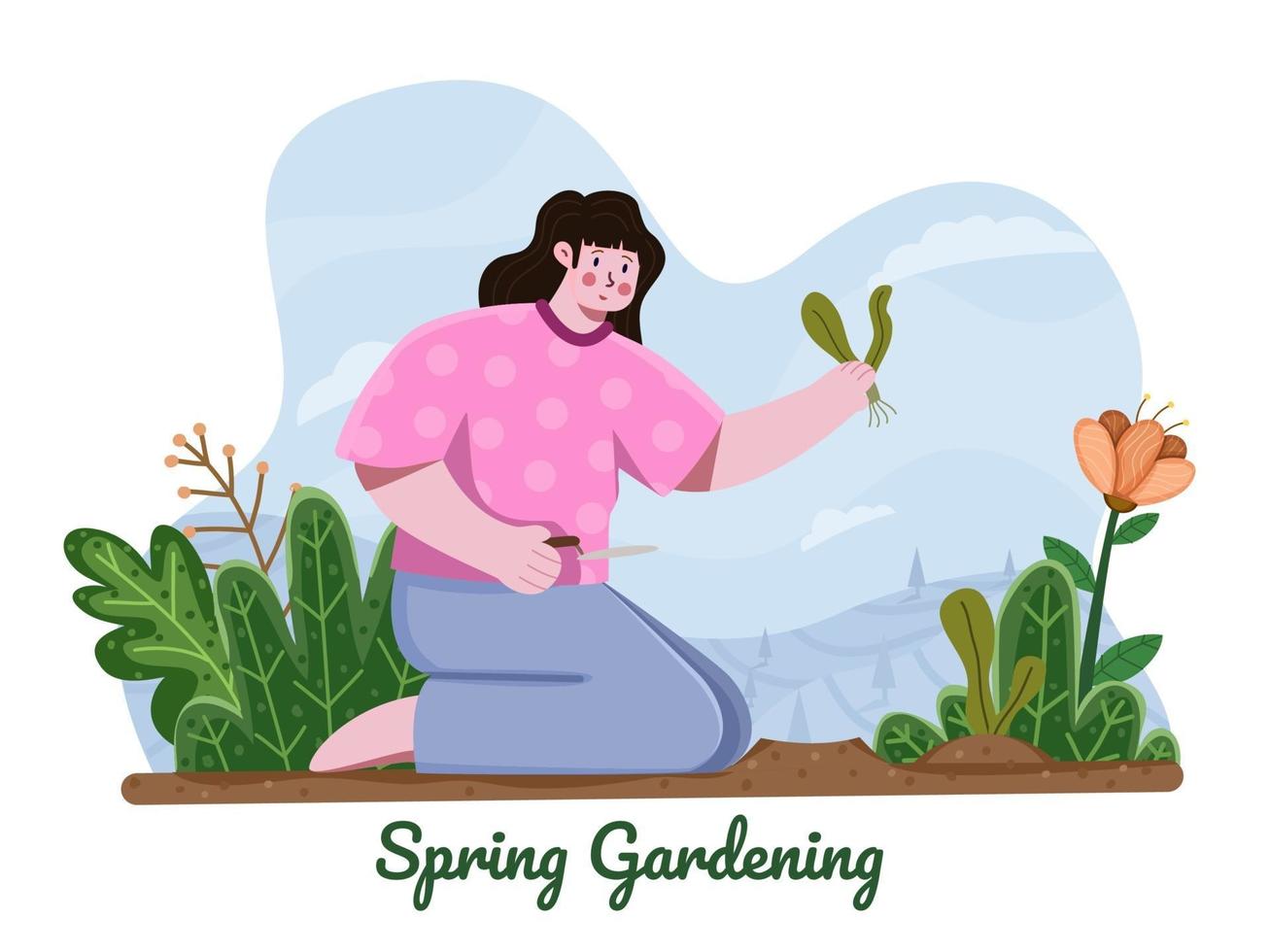 Woman planting flowers in garden at spring seasons. Spring holiday gardening activity. Spring outdoor gardening flower. Flat illustration of  women working in the garden. Spring season recreation. vector