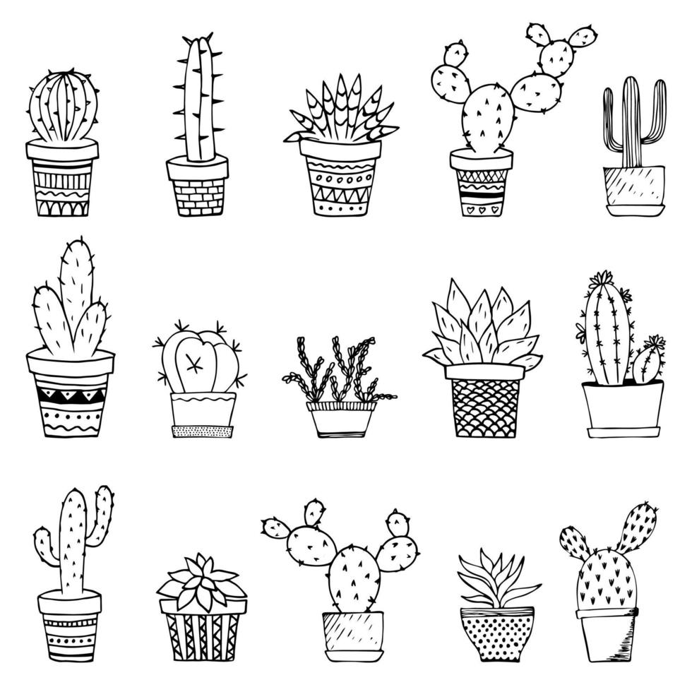 Cacti and succulents doodles illustration. Home plants in pots and cups. vector