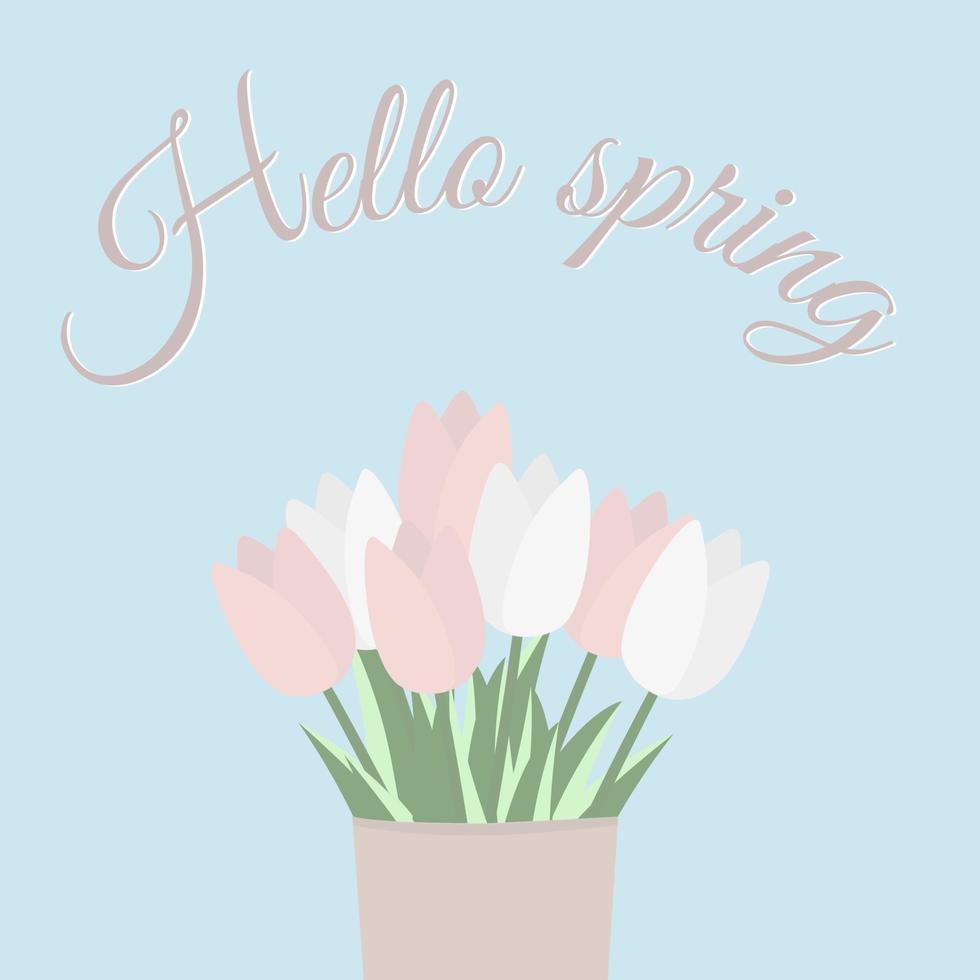 Pink and white tulips in a vase. Flat vector illustration. Hello spring.