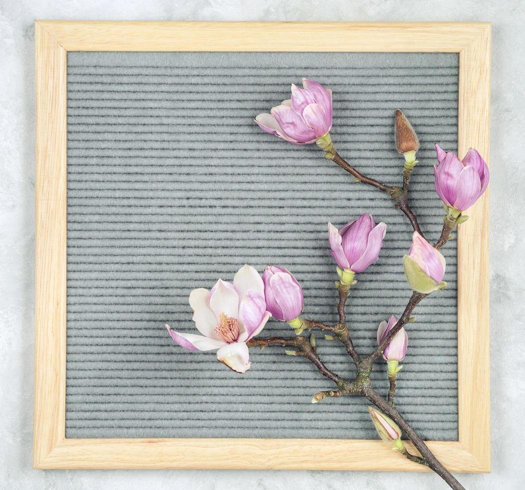 Letterboard vacío con flores de magnolia sobre un fondo de mármol gris foto