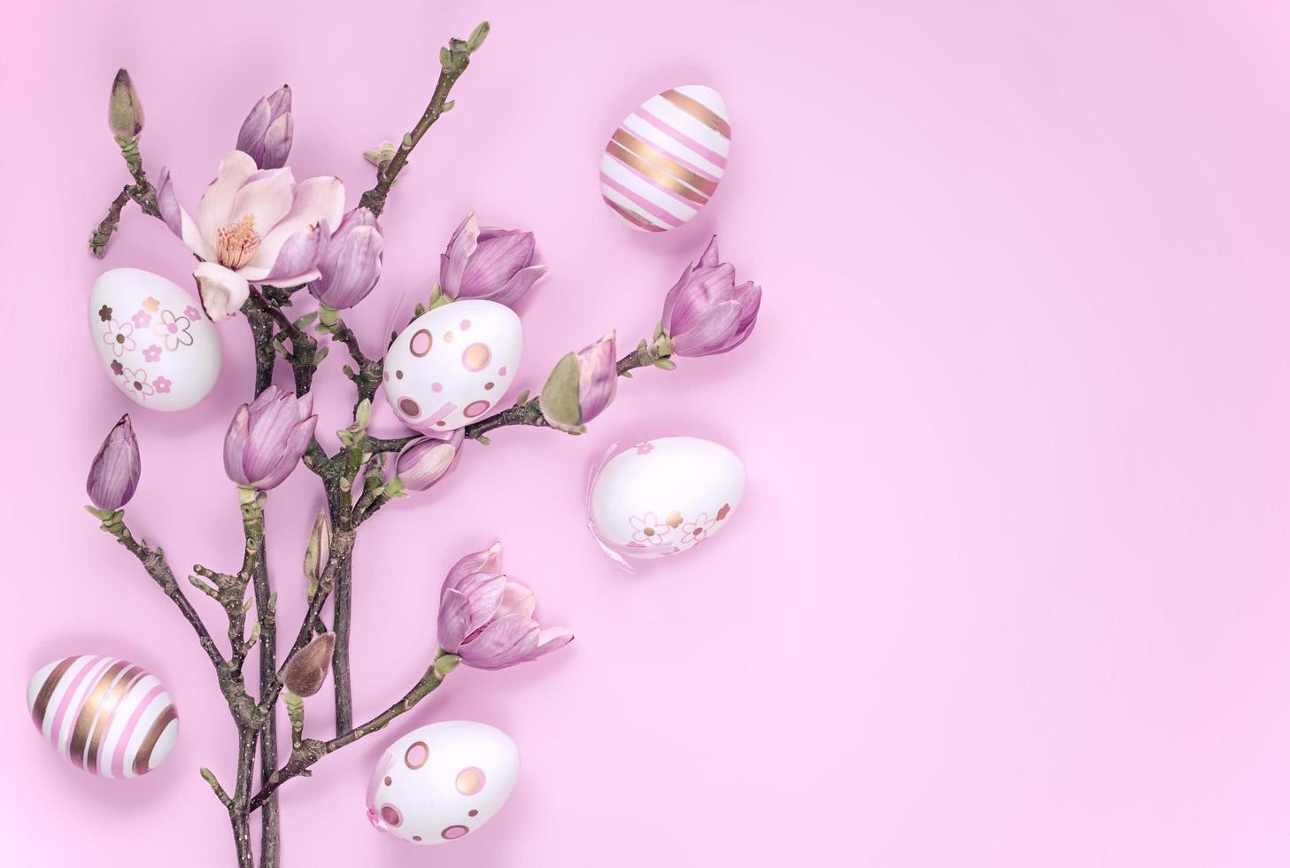 Blooming magnolia branches with Easter-painted eggs on a pink background photo