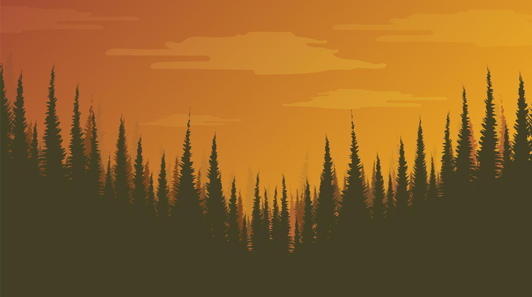 bosque de pinos brumoso, fondo de paisaje, sol y amanecer concepto de diseño. vector