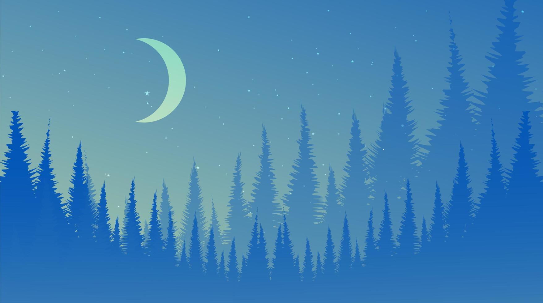 Vector Night Pine Forest,landscape background, foggy and mist concept design.