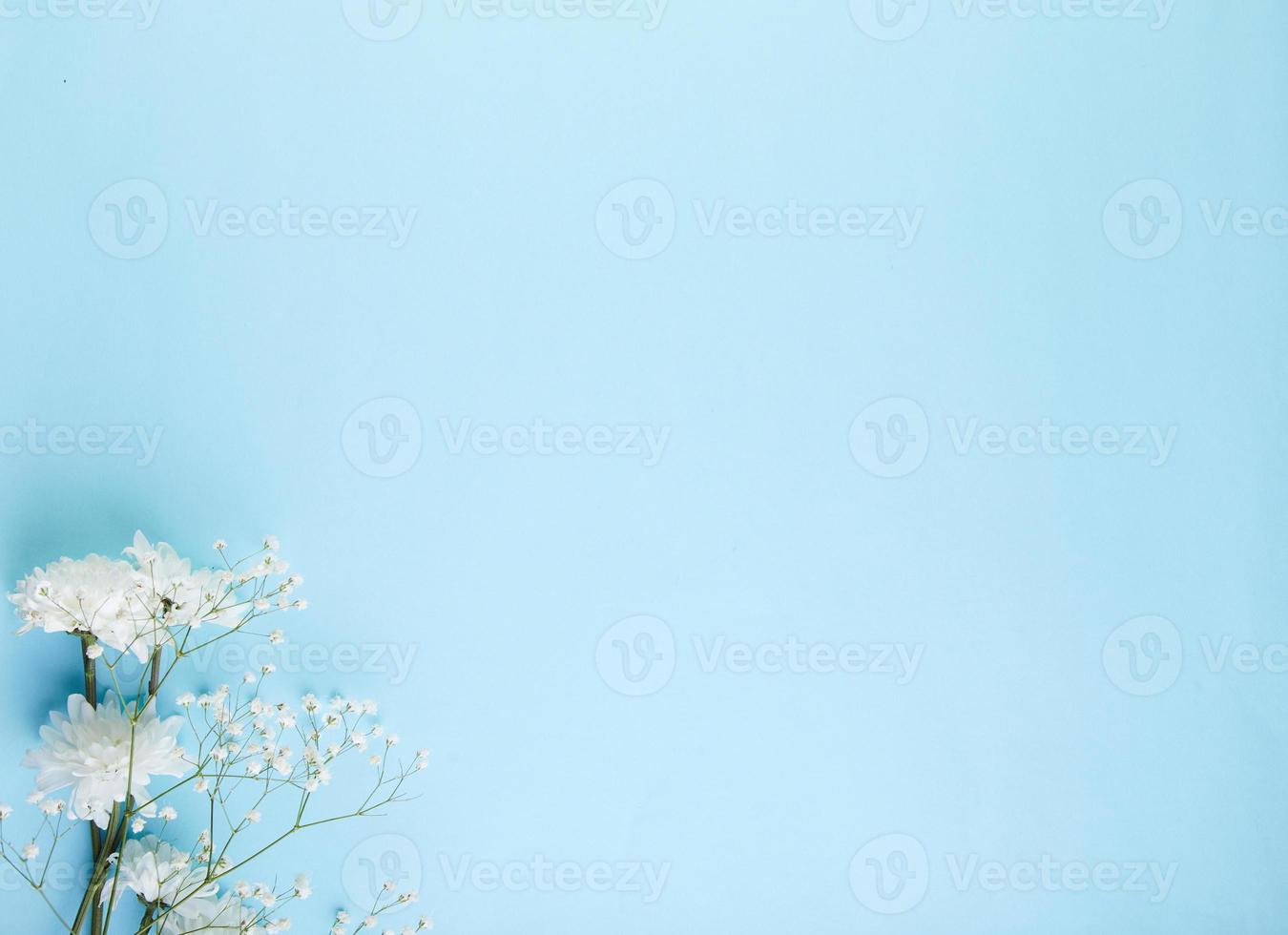 fondo azul con flores blancas foto