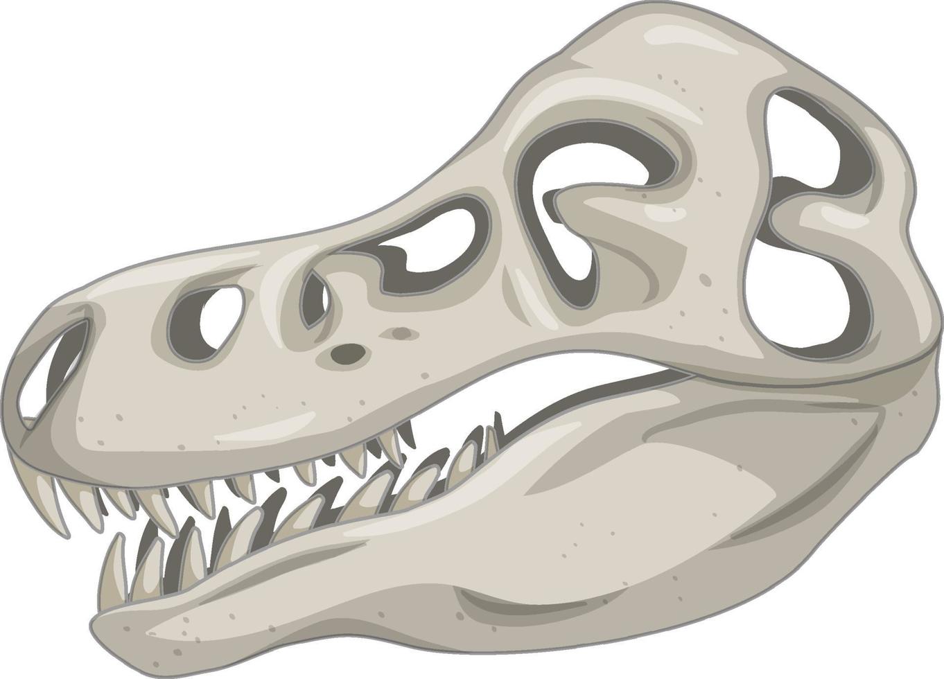 Cráneo de esqueletos de dinosaurios sobre fondo blanco. vector