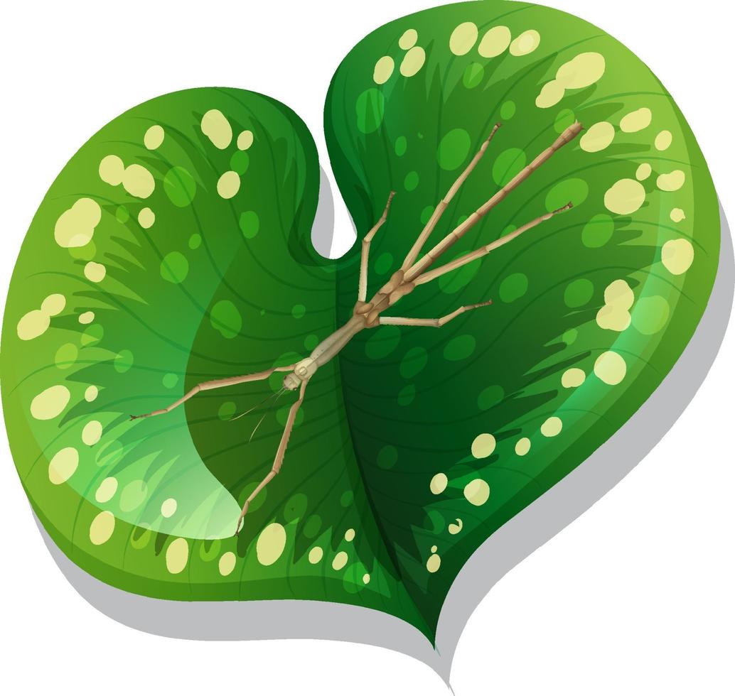 Top view of Hydra on a leaf isolated vector
