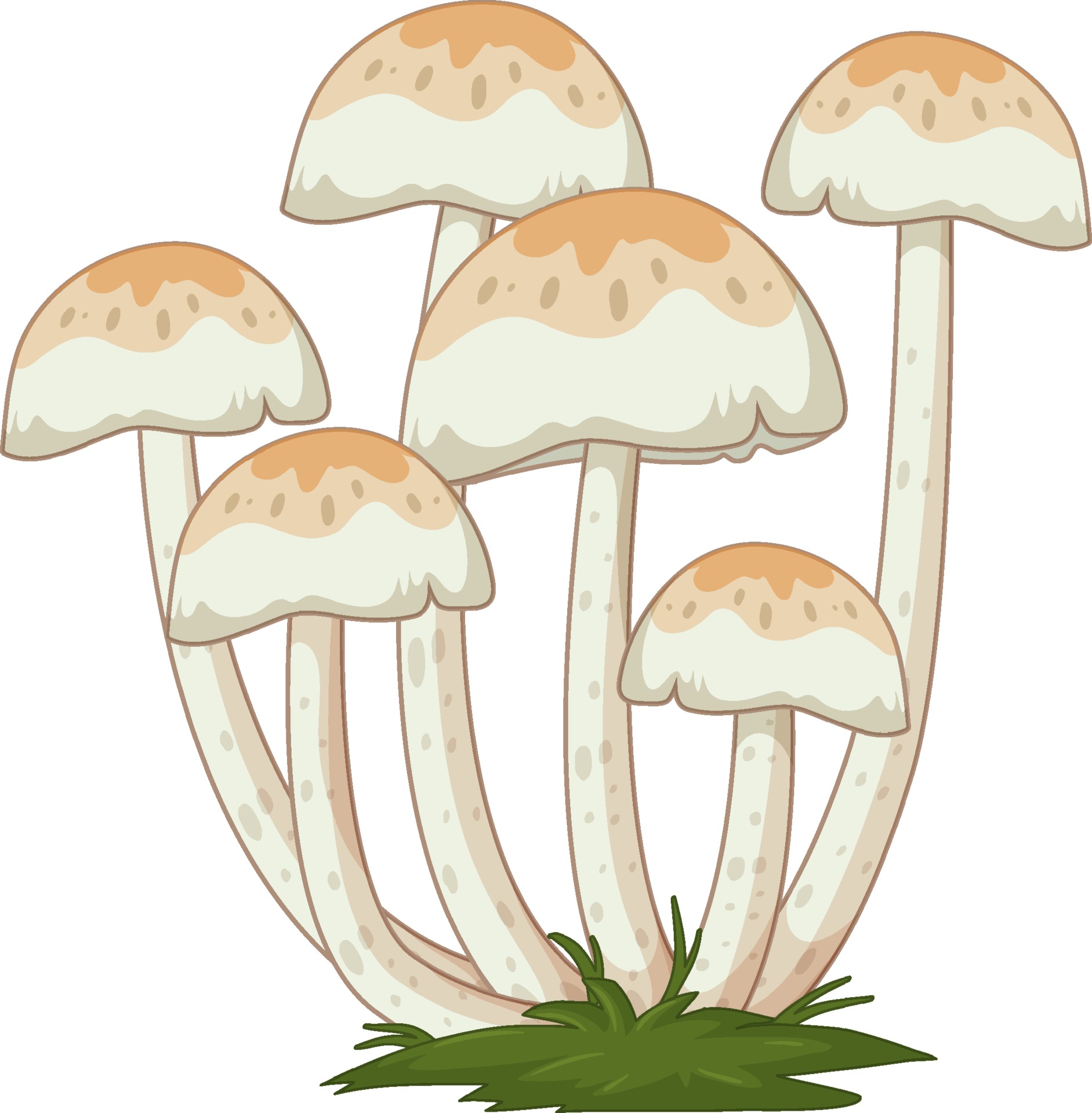 Many mushrooms in cartoon style on white background 2189155 Vector Art at Vecteezy Many mushrooms in cartoon style on white background 2189155 Vector Art at Vecteezy