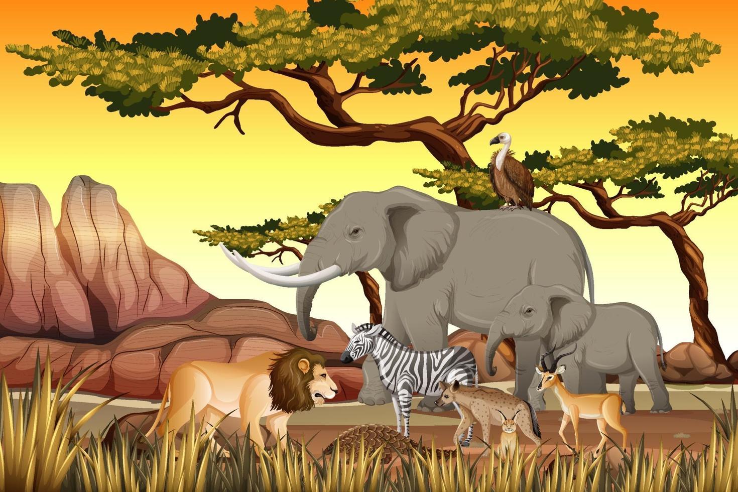 Grupo de animales salvajes africanos en la escena del bosque vector