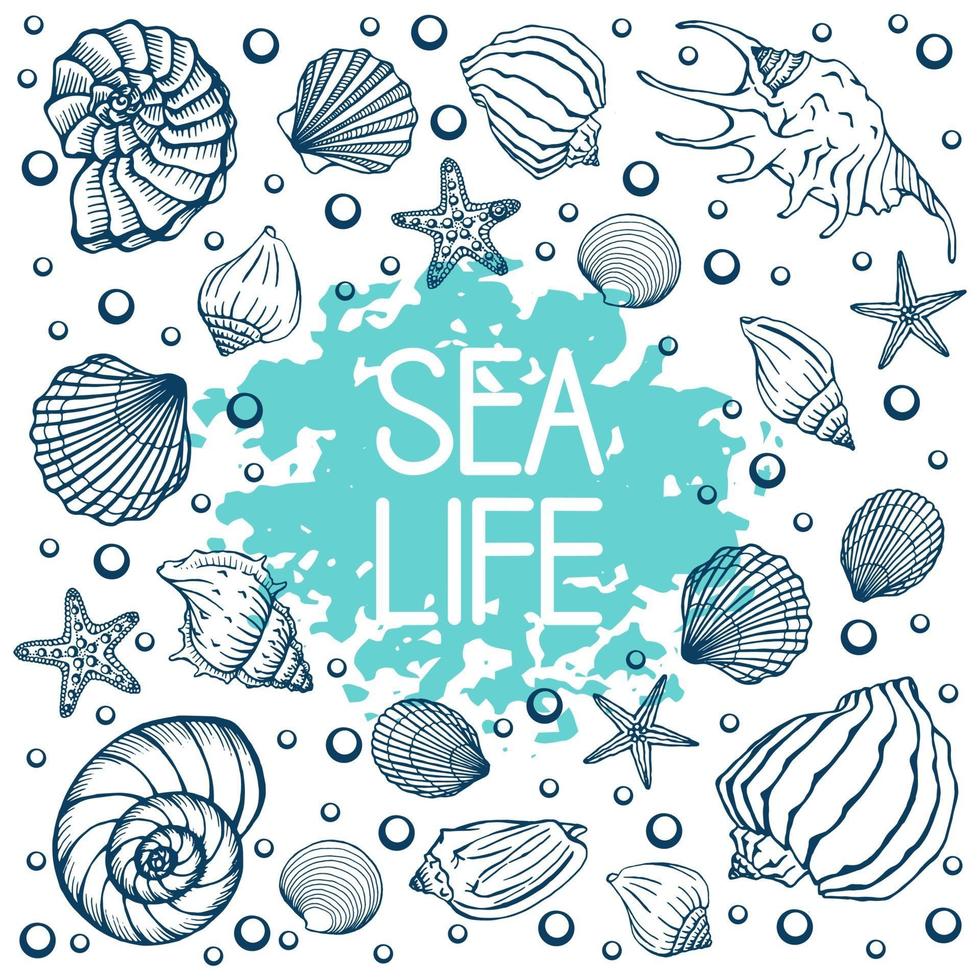 Seashells, summer, holidays, set of seashells and starfish, vector. Hand drawn sea shells and starfishes. Beautiful inscription in modern calligraphy. vector