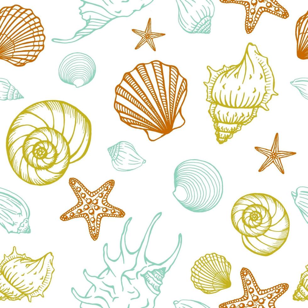 patrón sin fisuras con conchas marinas, estrellas de mar. fondo marino. Ilustración de vector dibujado a mano en estilo boceto. perfecto para saludos, invitaciones, libros para colorear, textil, boda y diseño web.