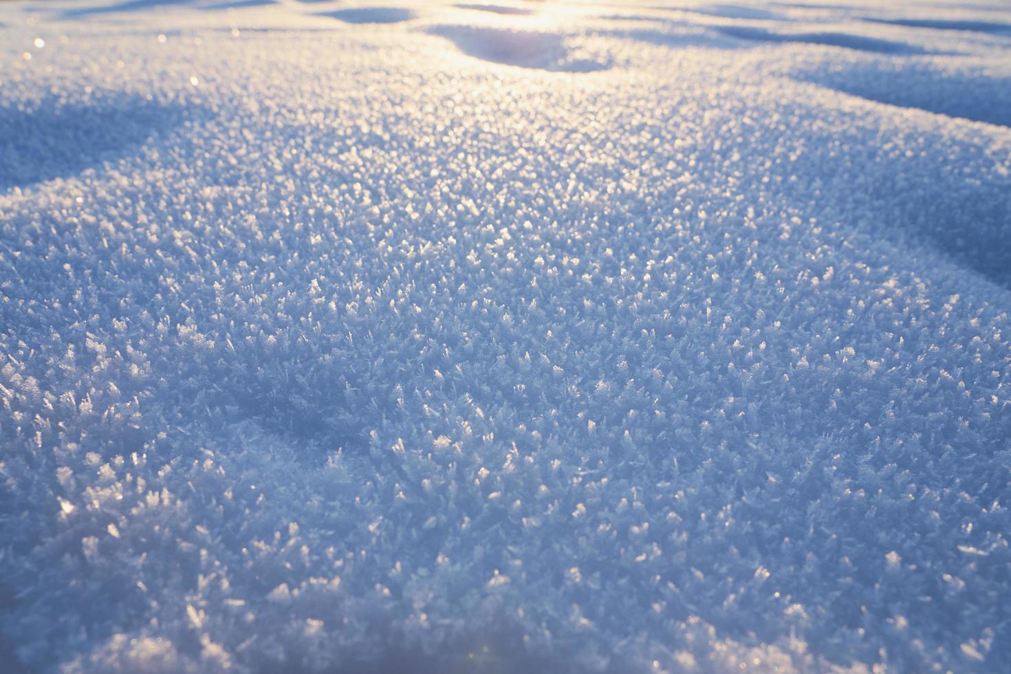 nieve con cristales de hielo en el frío foto