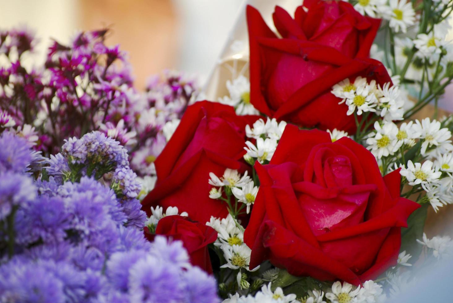 Red roses bouquet on graduation day photo