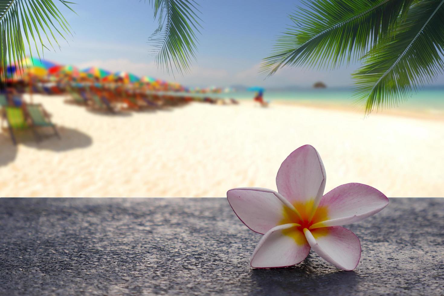 flores de plumeria con fondo de playa tropical foto