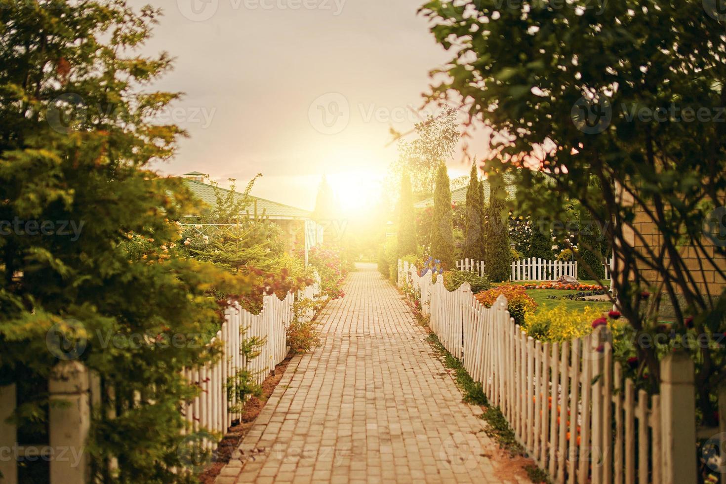 acera entre cabañas y jardines foto