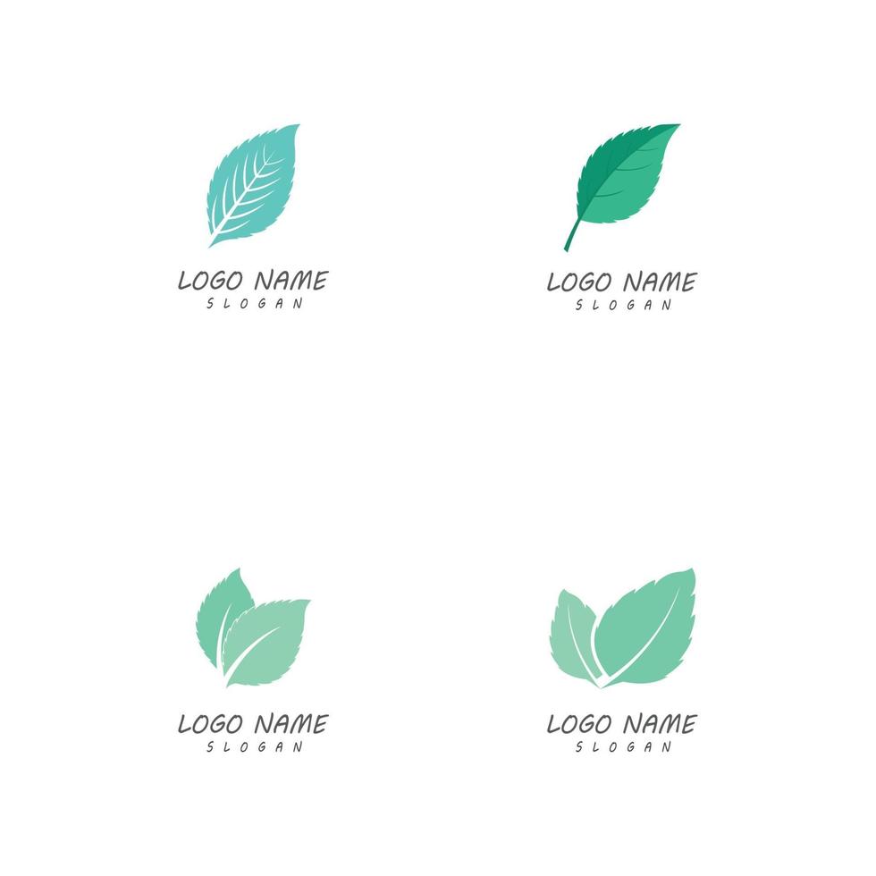 Leaf nature logo templates vector