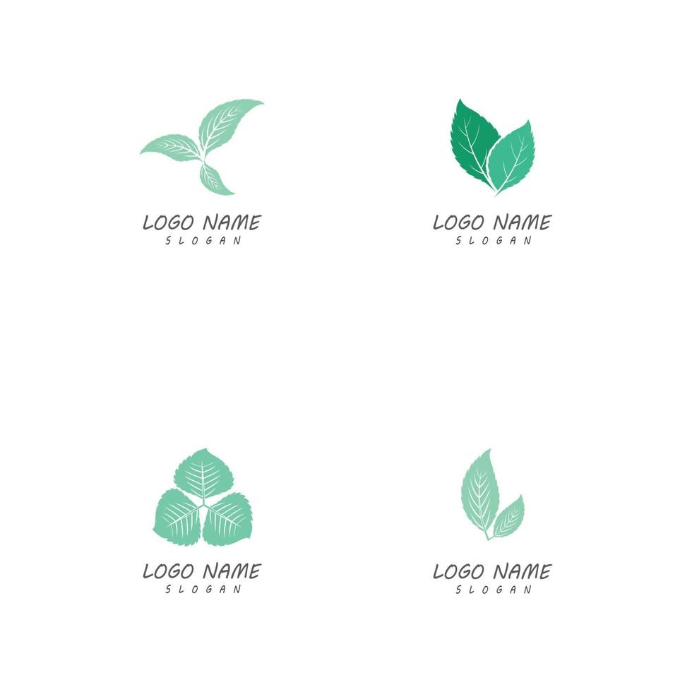 plantillas de logotipo de naturaleza de hoja vector