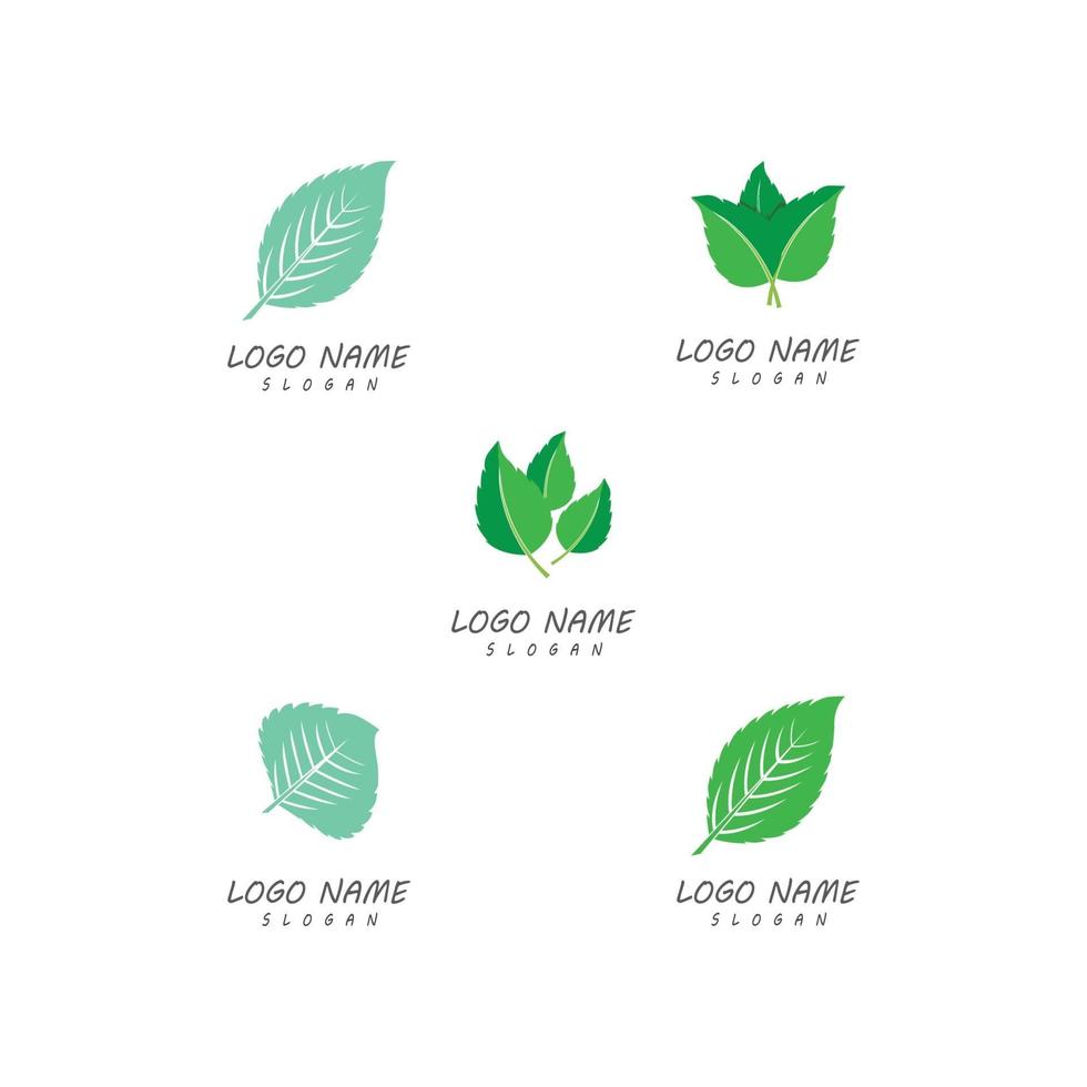 Leaf nature logo templates vector