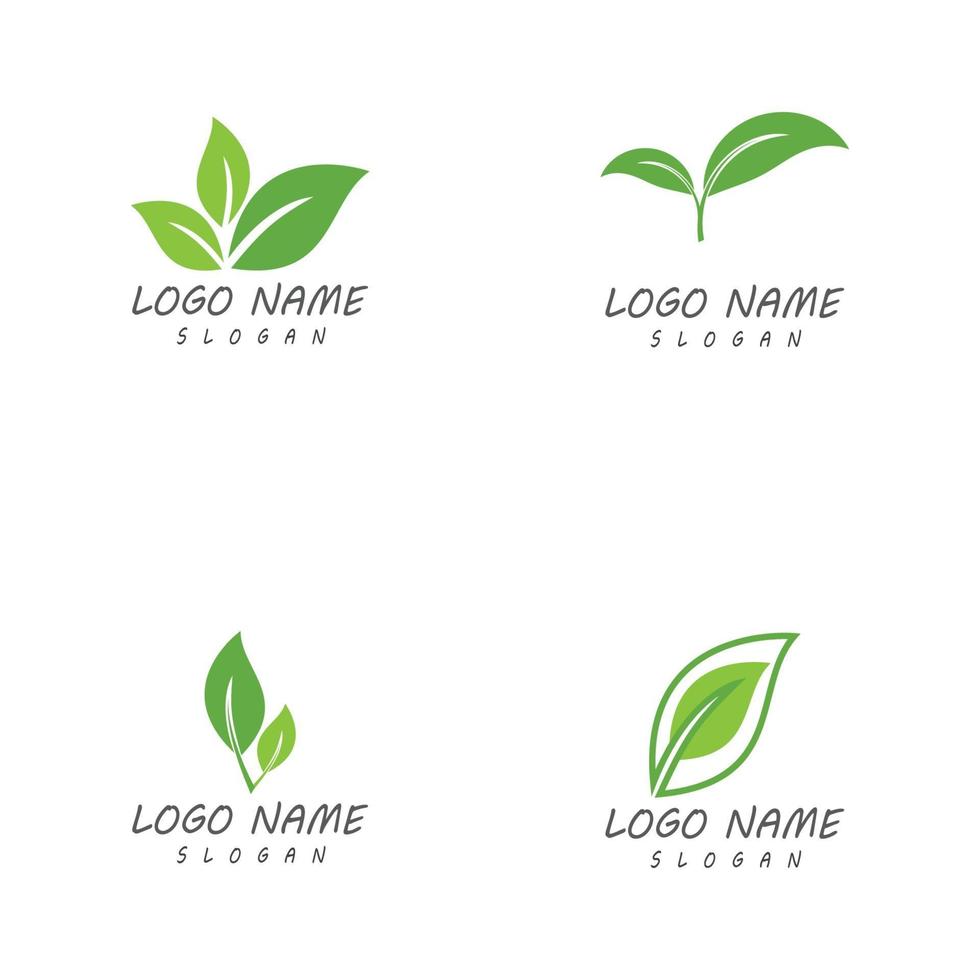 plantillas de logotipo de naturaleza de hoja vector