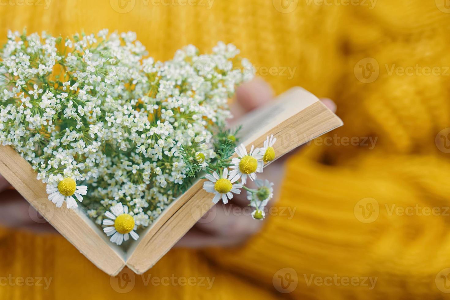 mujer sostiene libro con margaritas dentro foto