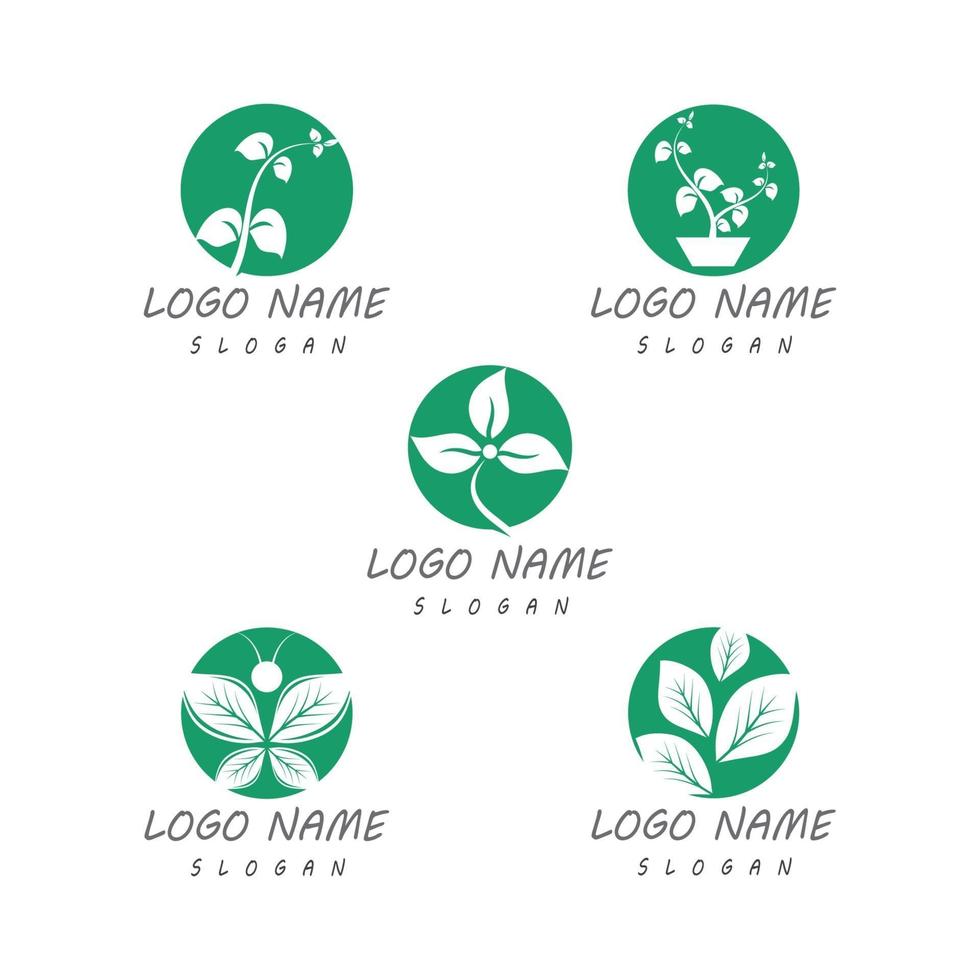 plantillas de logotipo de naturaleza de hoja vector